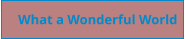 What a Wonderful World