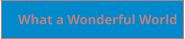 What a Wonderful World